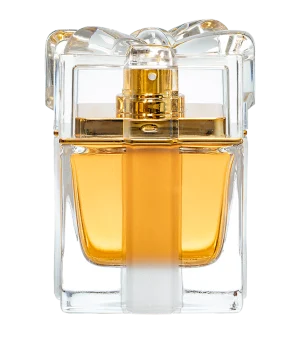 awish-png1-6445b760431ffff44e16607433055669-1024-1024