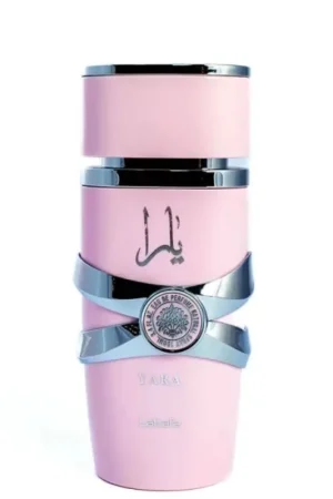 f4d72a4c-742d-4de1-a2e9-9798bcfcc585-2023-09-29t161307216533245-64b00a69fb644271fe97a3e4-1520589428986400171