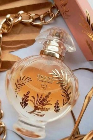 imagem-do-whatsapp-de-2024-02-13-as-18-36-01_27f18f56-a831b9f730fdb2aa0c17079342110800-480-0