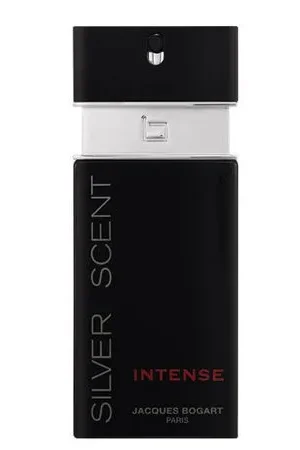 silver-scent-intense-edt-100ml-jacques-bogart